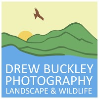 Drew Buckley Photography   Professional Landscape and Wildlife Photography   Photography Workshops 1072505 Image 4